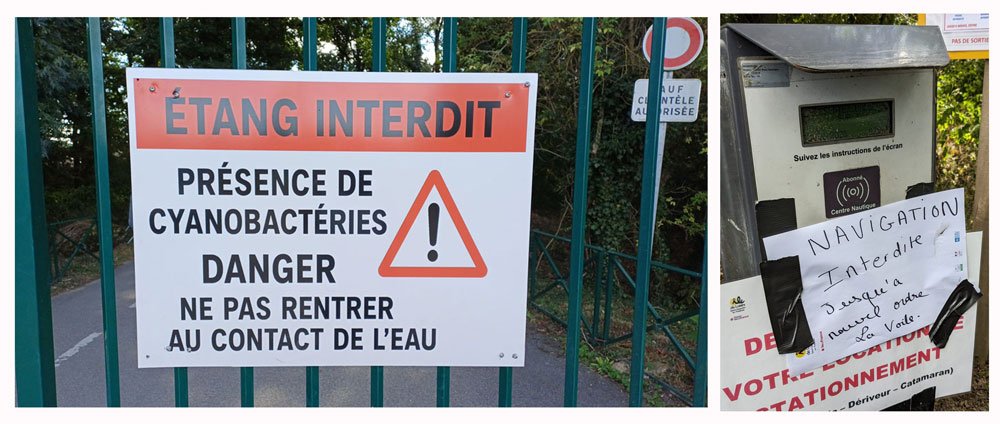 20250823-Cyanobact%C3%A9ries