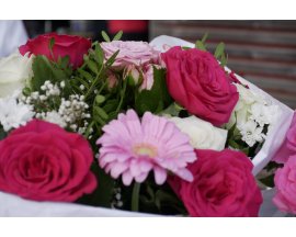 2026 10 17 - Coupe des Dames
