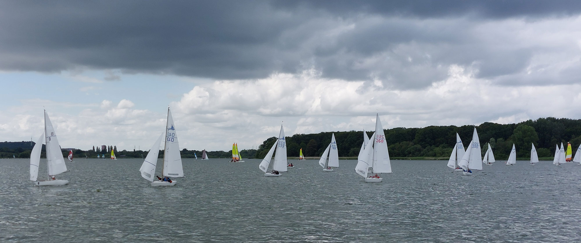 20240622_150156-A 20240622_150156-A